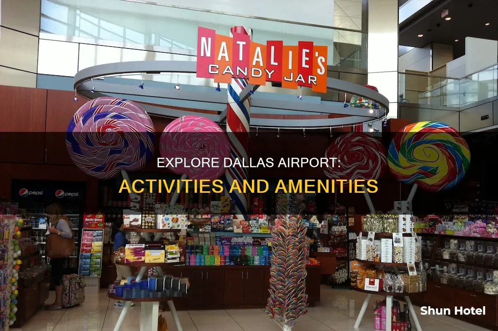 what can i do in dallas airport