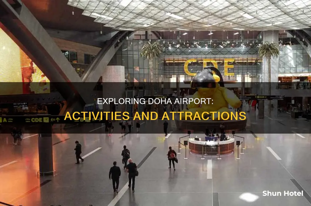 what can i do in doha airport