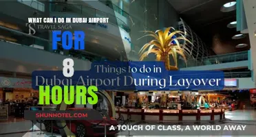 Explore Dubai Airport: 8-Hour Layover Itinerary Ideas
