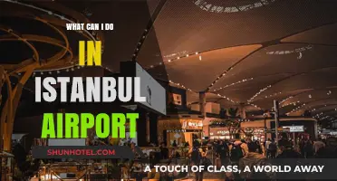 Exploring Istanbul Airport: Things to Do and See