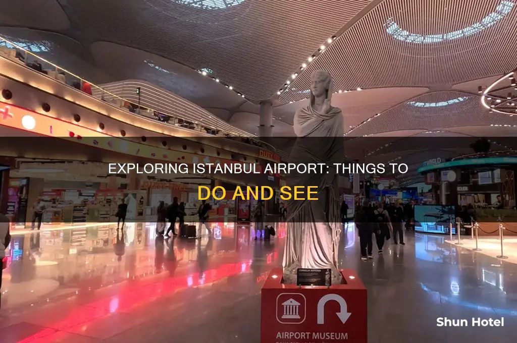 what can i do in istanbul airport