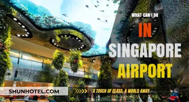 Explore Singapore's Airport: Activities and Attractions