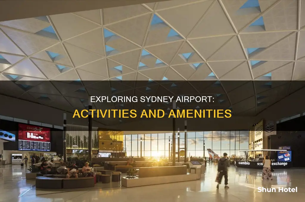 what can i do in sydney airport