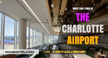 Explore Charlotte Airport: Discover Unique Amenities and Services