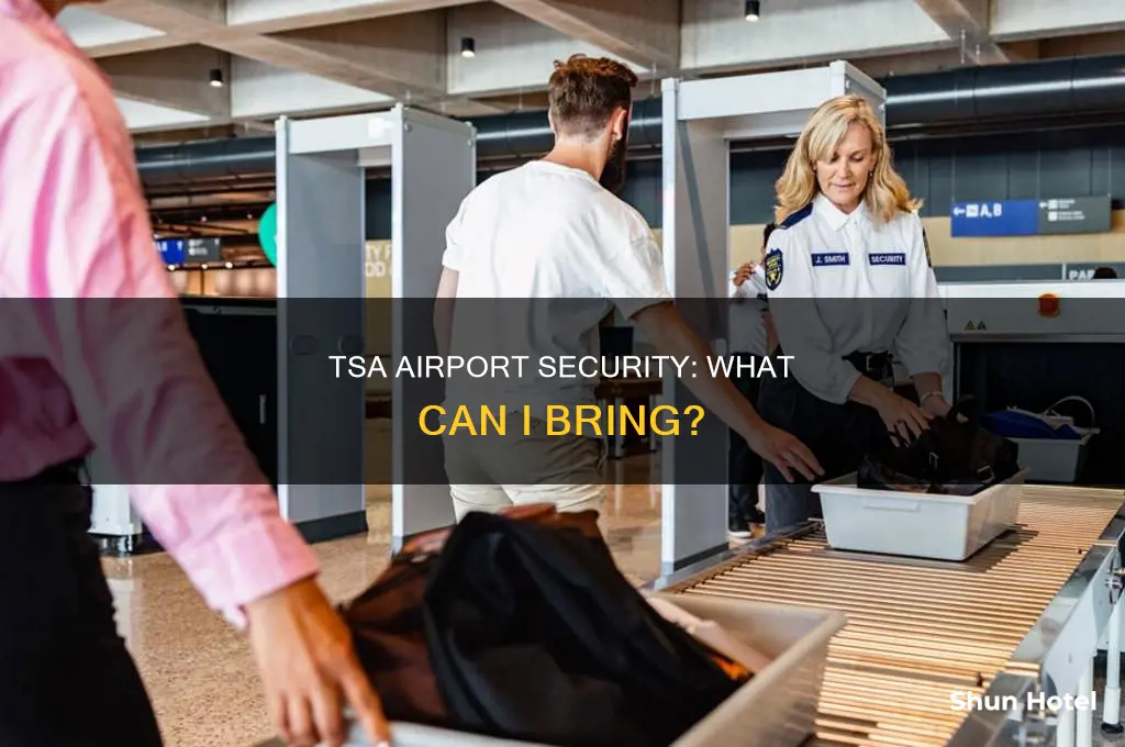 what can i take through tsa airport security