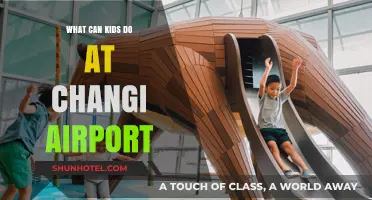 Exploring Changi: Fun Activities for Kids at the Airport