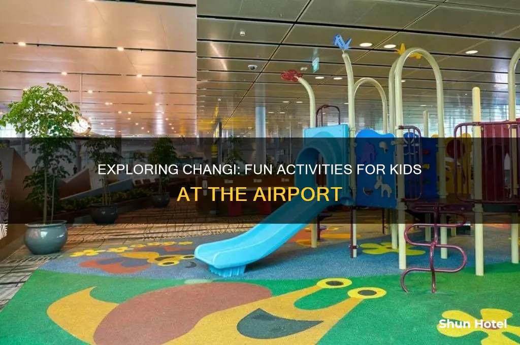 what can kids do at changi airport
