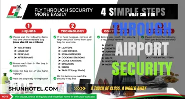 Airport Security: What Not to Bring