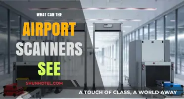 Airport Scanners: What's Visible and What's Not?