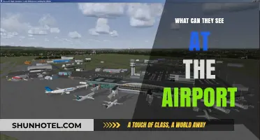 Travel Secrets: What Airport Workers See