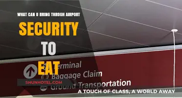 Air Travel Food: What Can You Bring?