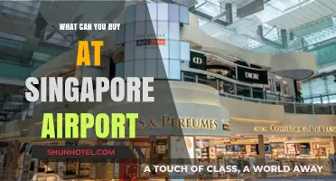 Shoppers' Paradise: Singapore Airport's Best Buys