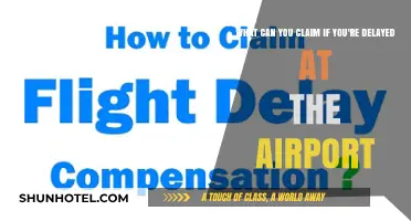 Air Travel Delays: Know Your Rights and Claim Options