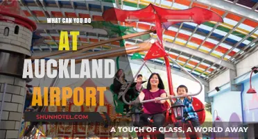 Exploring Auckland Airport: Activities and Attractions