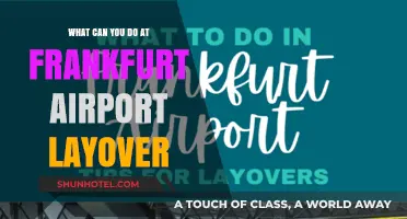 Exploring Frankfurt: Making the Most of Your Airport Layover