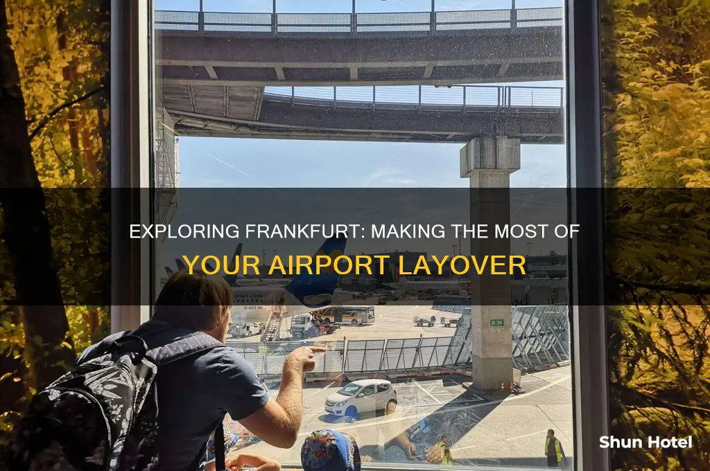 what can you do at frankfurt airport layover