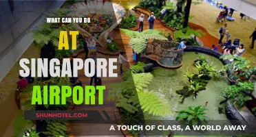 Explore Singapore's Airport: Activities and Attractions