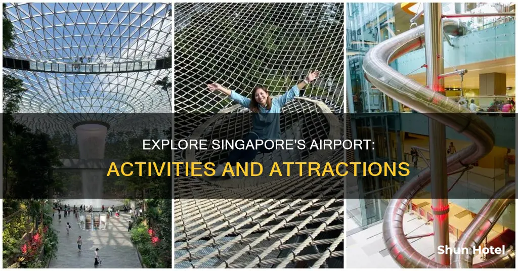 what can you do at singapore airport