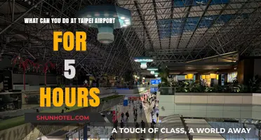 Taipei Airport Layover: Exploring the City in 5 Hours