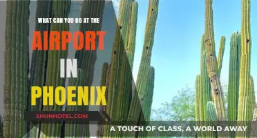 Phoenix Airport: Fun Activities and Relaxing Options