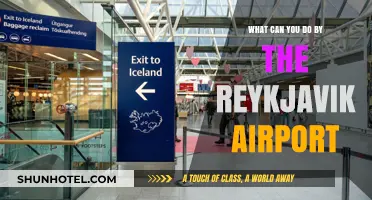 Exploring Reykjavik: Activities Near the Airport