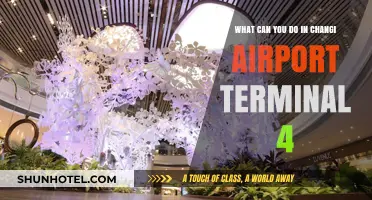 Explore Changi Airport Terminal 4: Activities and Attractions