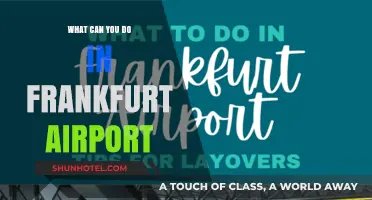 Exploring Frankfurt Airport: Things to Do and See