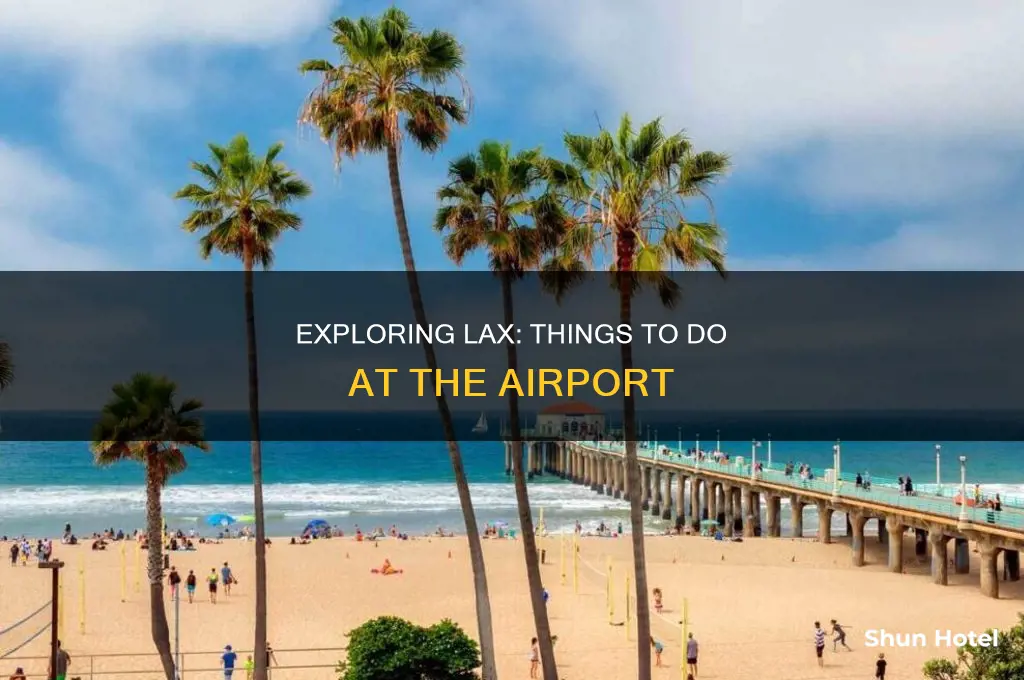 what can you do in lax airport