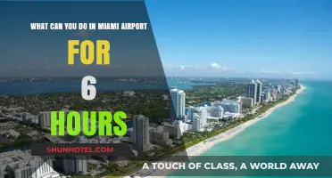 Explore Miami Airport: 6-Hour Layover Itinerary