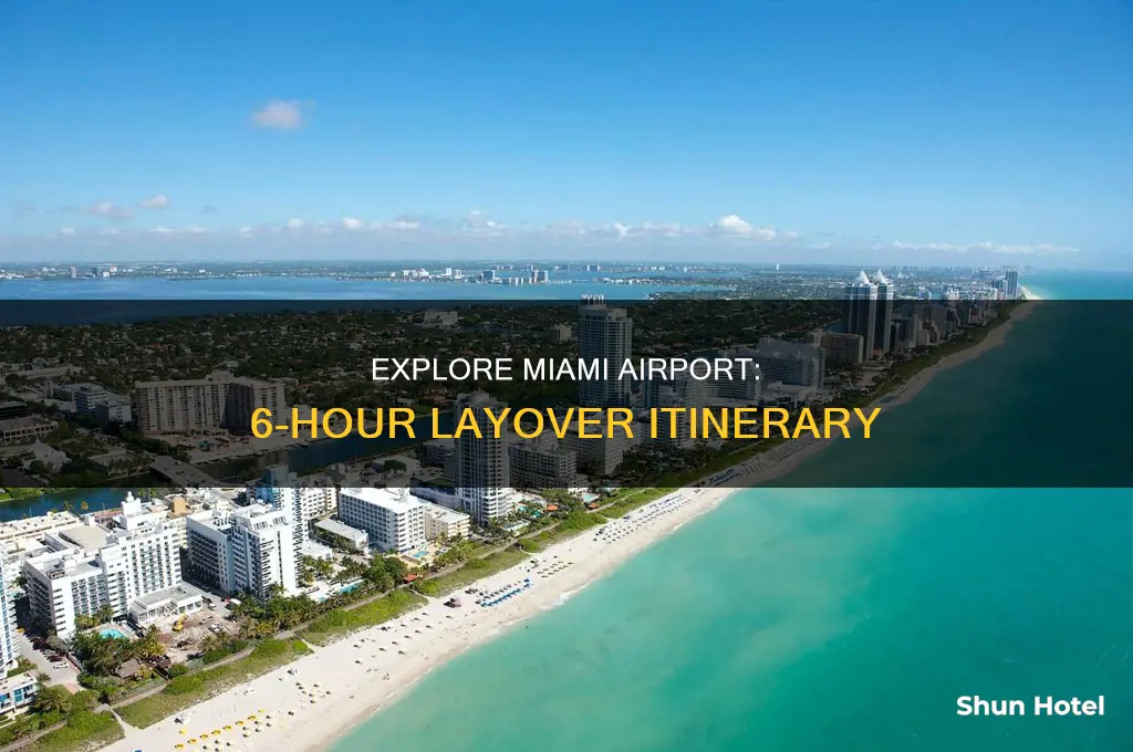 what can you do in miami airport for 6 hours