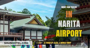 Exploring Narita Airport: Activities and Attractions