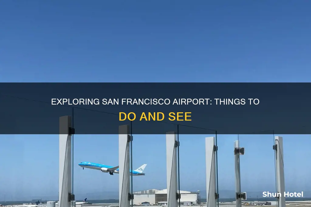 what can you do in san francisco airport