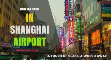 Exploring Shanghai Airport: Activities and Attractions