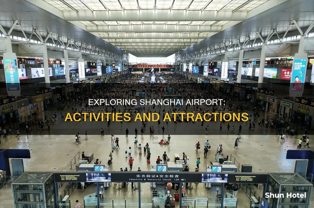 what can you do in shanghai airport