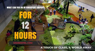Explore, Relax, and Refresh at Singapore's Airport Oasis