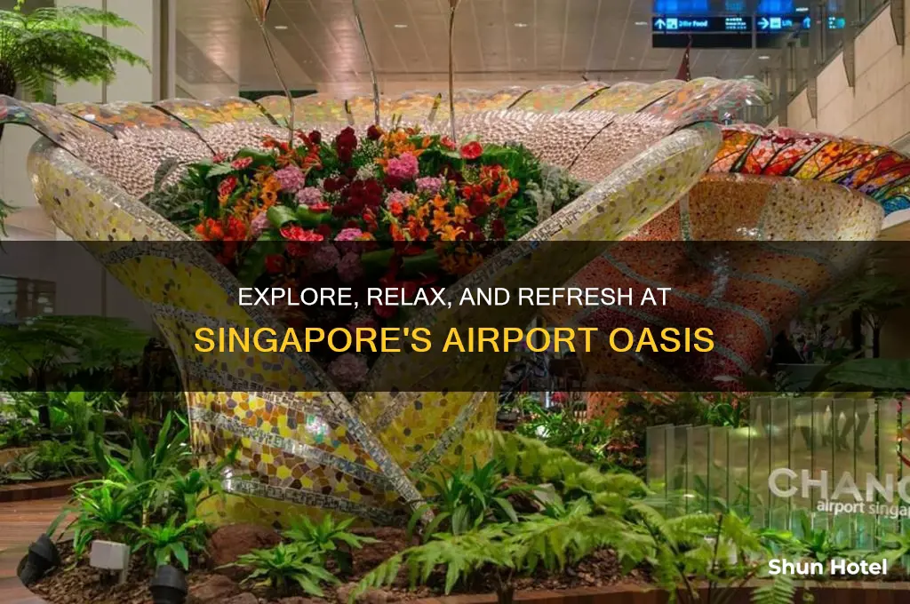 what can you do in singapore airport for 12 hours
