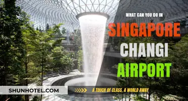 Explore Changi Airport: More Than Just a Transit Hub