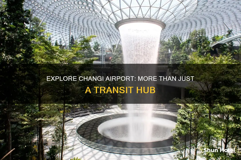 what can you do in singapore changi airport