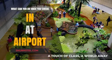 Explore the Airport After Checking In
