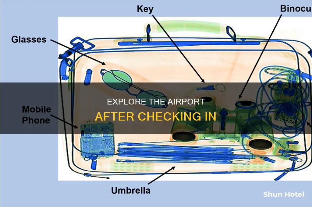 what can you do once you check in at airport