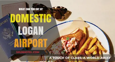 Explore Logan Airport's Best Domestic Food Options