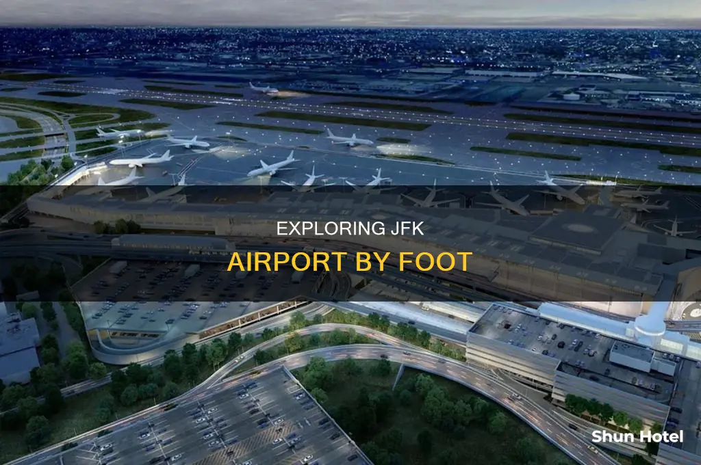 what can you walk to see at jfk airport