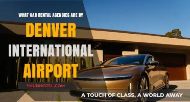 Top Car Rental Agencies Near Denver International Airport: Your Guide