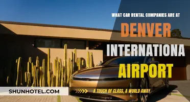 Denver Airport Car Rentals: Top Companies to Choose From
