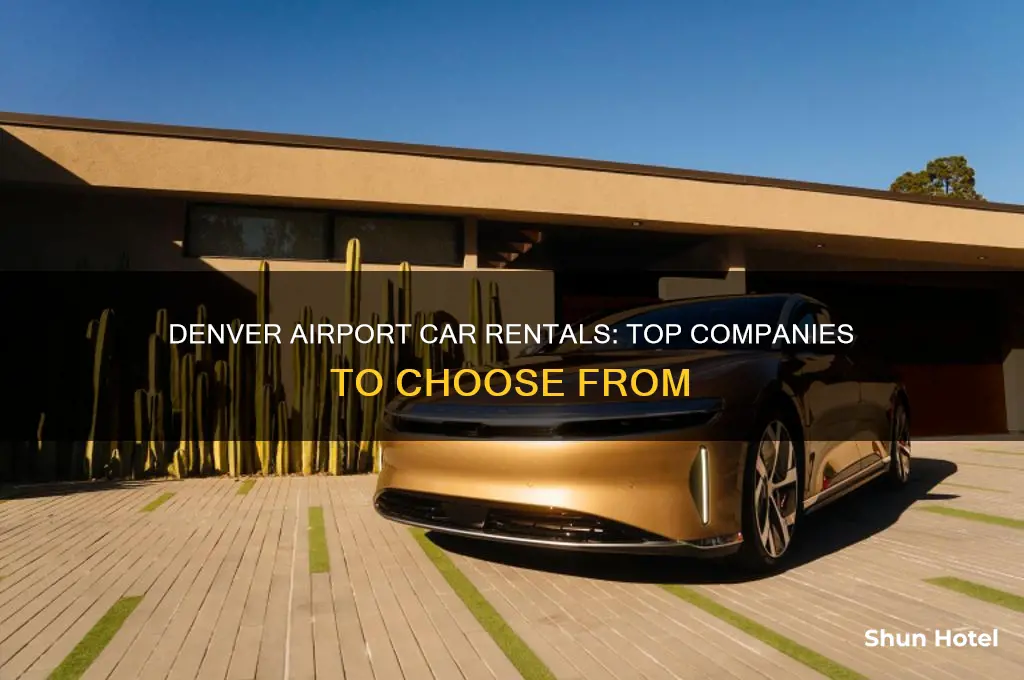 what car rental companies are at denver international airport