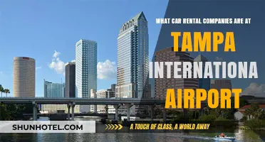 Tampa International Airport Car Rental Options: A Comprehensive Guide