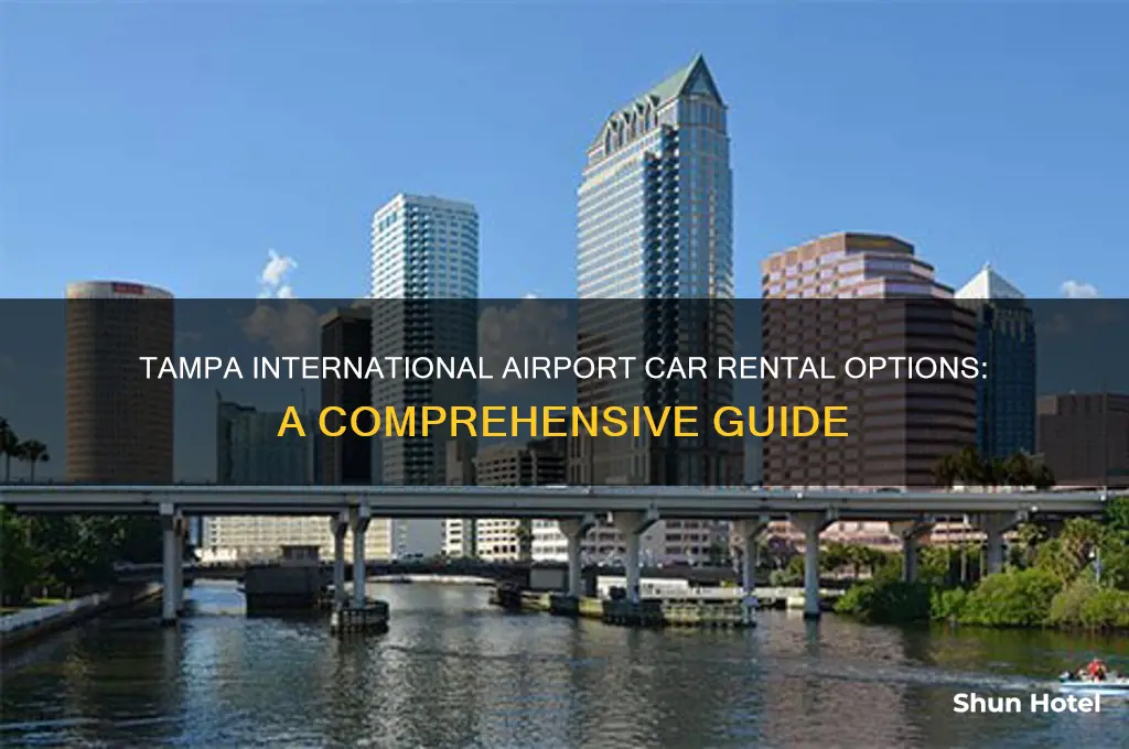 what car rental companies are at tampa international airport