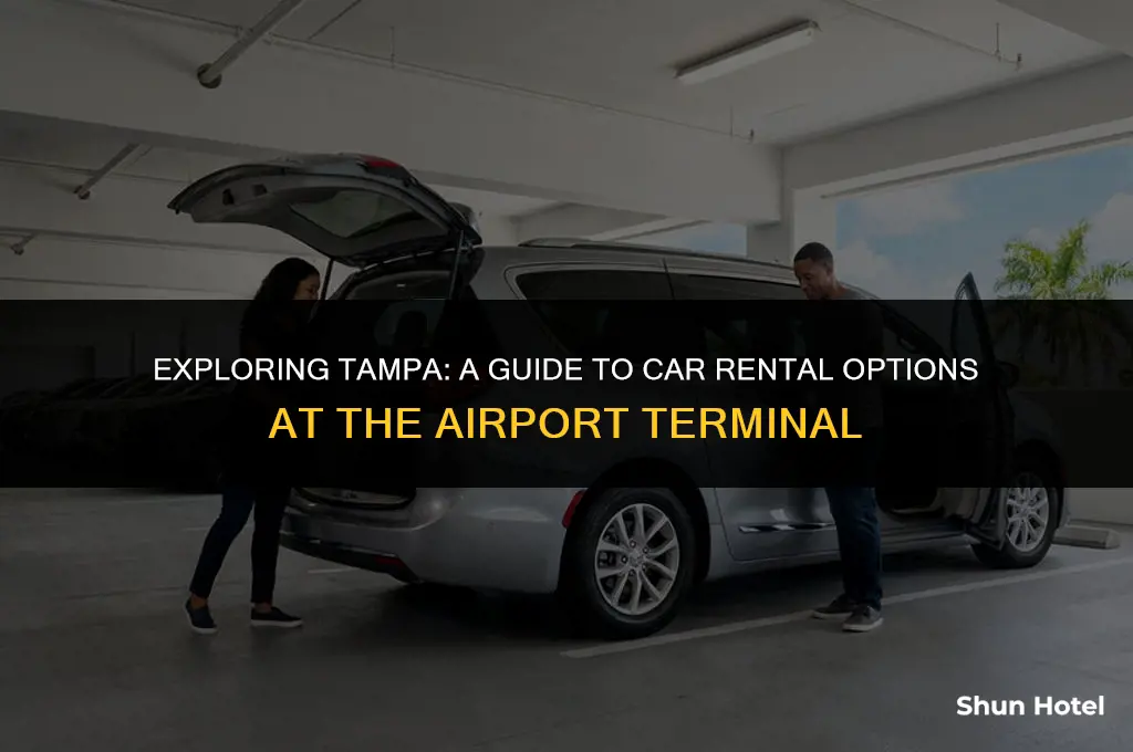 what car rental companies are in the tampa airport terminal
