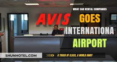 Top International Airport Car Rental Companies for Global Travelers