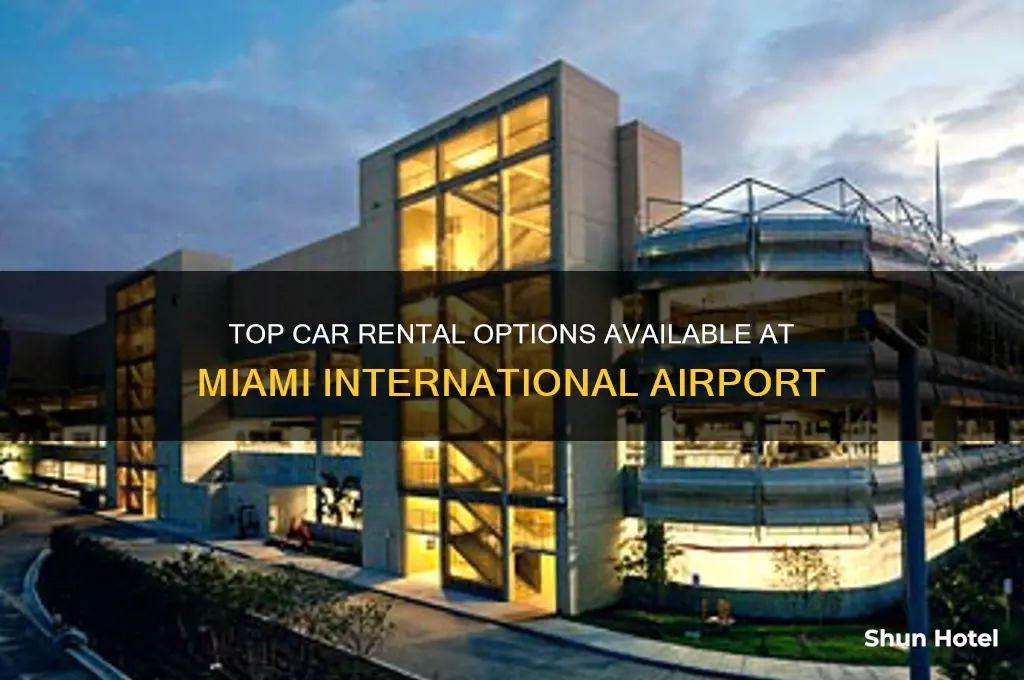 what car rentals are at miami international airport